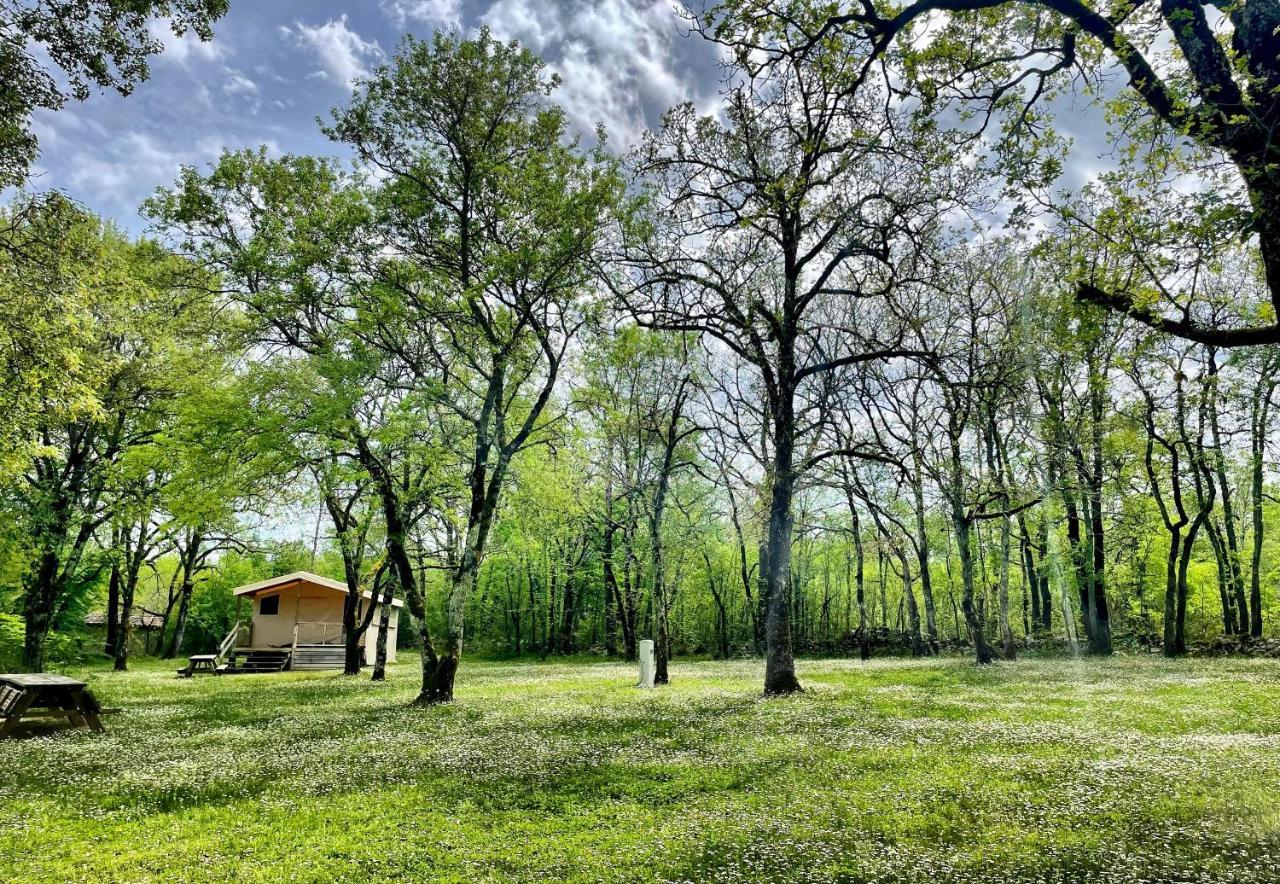 Lodges Du Bois Dodo - Ancien Camping De Bois Redon Septfonds Eksteriør bilde